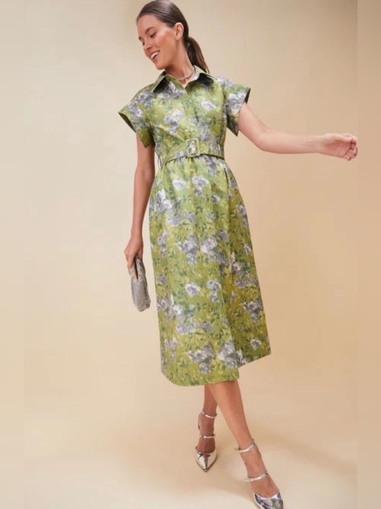 Tuckernuck Dresses & Skirts - Tuckernuck Muted Meadow Chloe Dress NWT women's size medium green